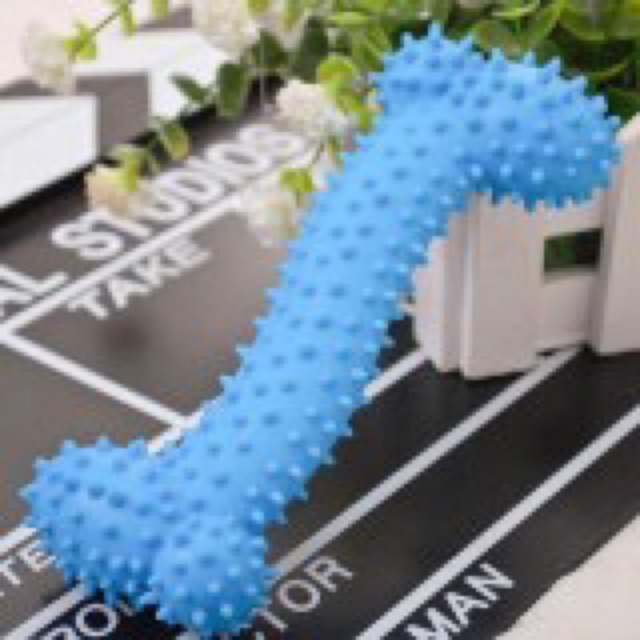 Đồ chơi chó mèo -xương gặm hai đầu