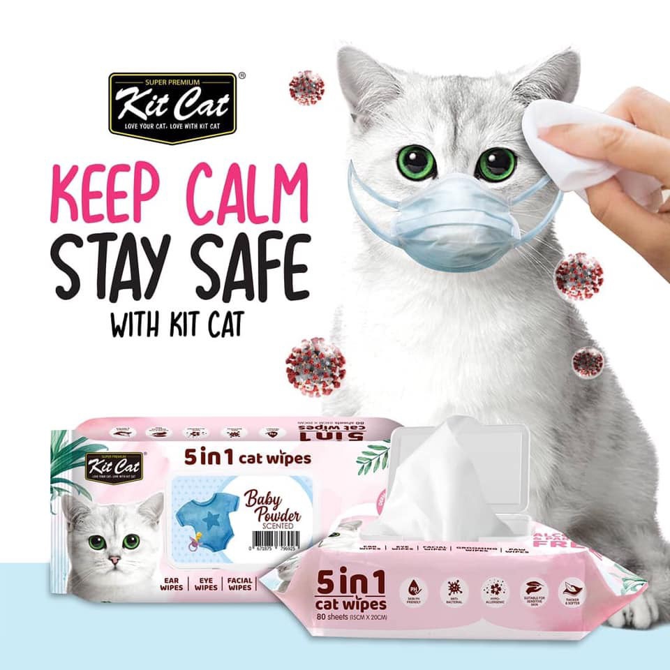 khăn ướt Kitcat khử mùi kháng khuẩn cho mèo mọi độ tuổi lau tay chân mặt