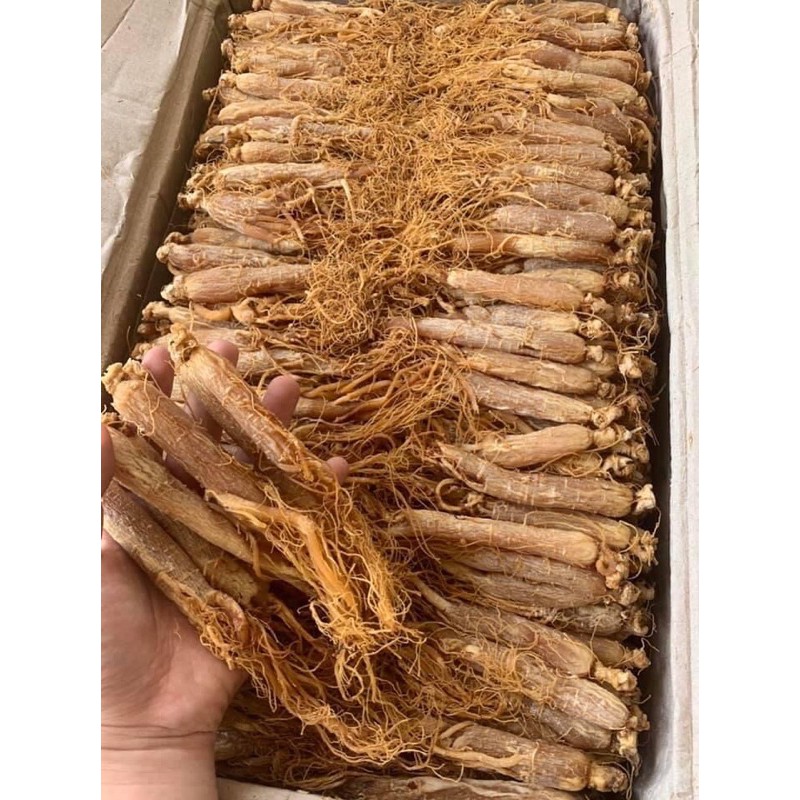 Hồng sâm 100G