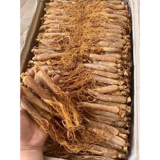 Hồng sâm 100g