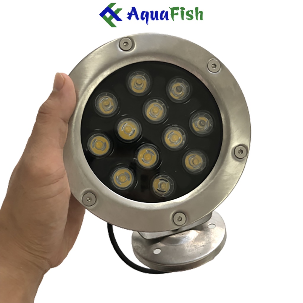 Đèn Âm Nước Chuyên Dụng Dành Cho Hồ Cá Koi, Hồ Cá Ngoài Trời, Hòn Non Bộ