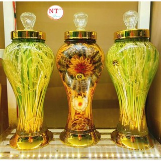 Bình Thủy Tinh Ngâm Rượu Sâm 2 Lít.