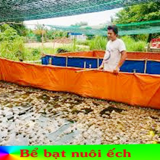 Bể bạt nuôi lươn ốc ếch chạch chuyên nghiệp nhiều kích thước lựa chọn
