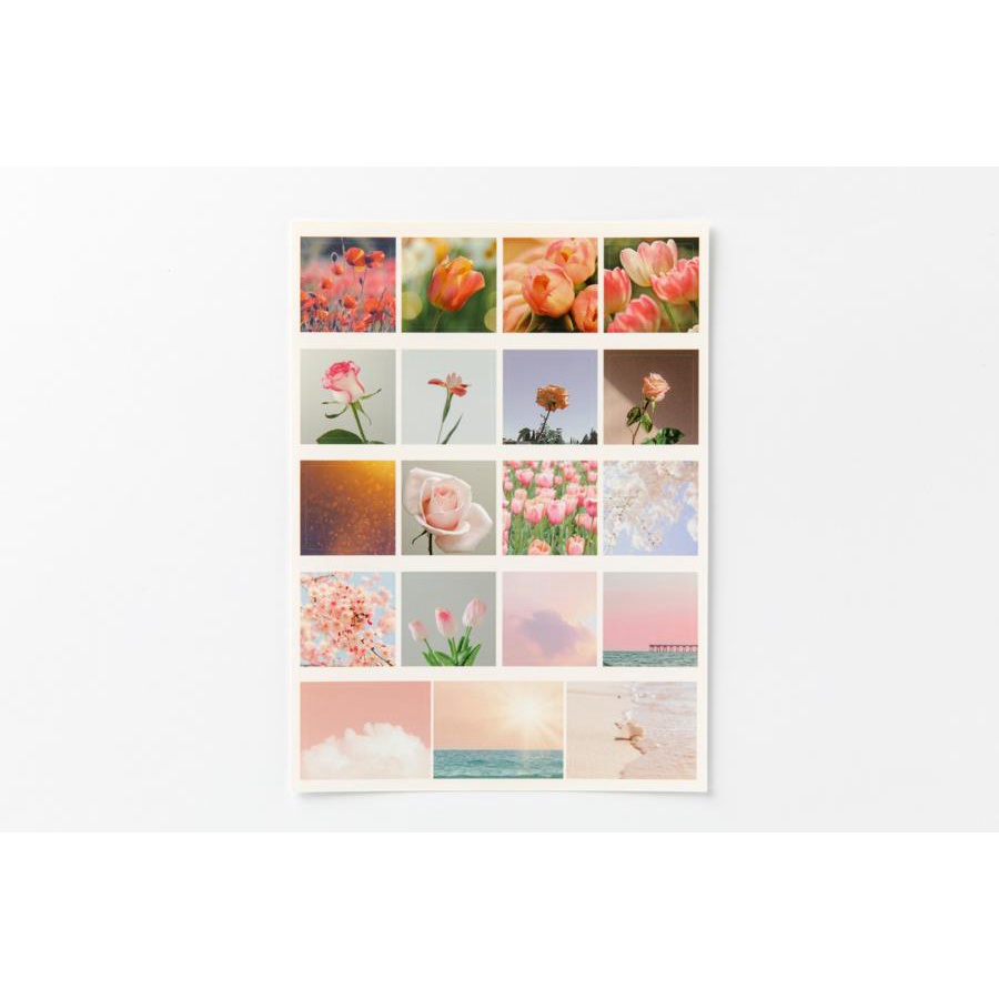 Set 2 Tấm Sticker ARTBOX Hàn Quốc Hình Vẽ Hoa Màu Hồng