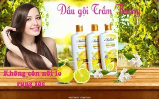 Dầu gội trầm hương