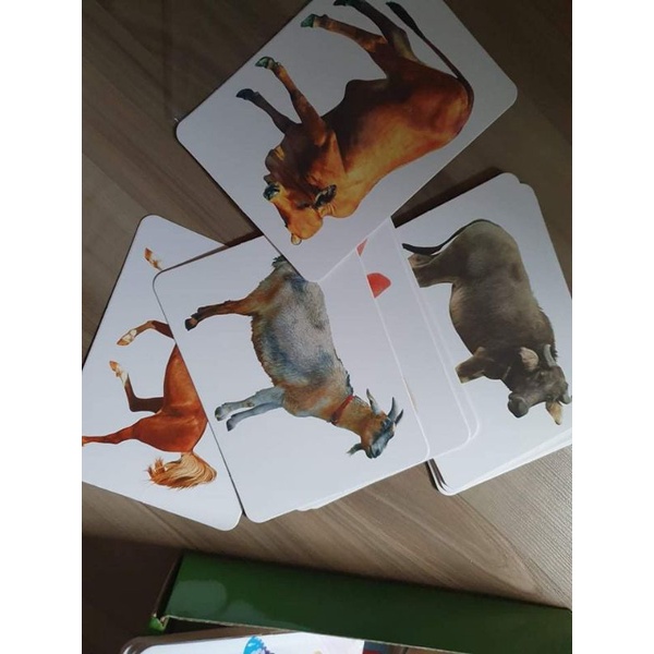 [Xả Kho giá sốc] Bộ thẻ học A5 thông minh 19 chủ đề