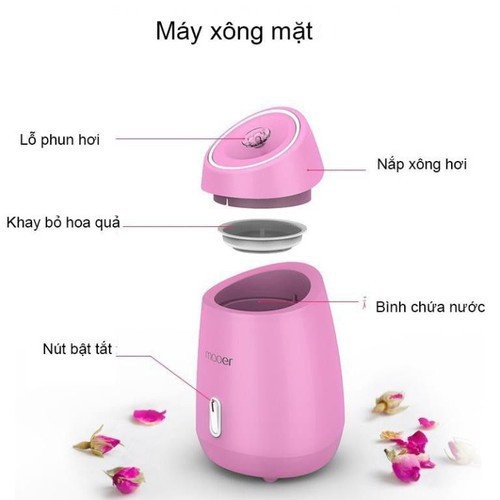 MÁY XÔNG HƠI MẶT THẢO DƯỢC, HOA QUẢ TỰ ĐỘNG 2 IN 1