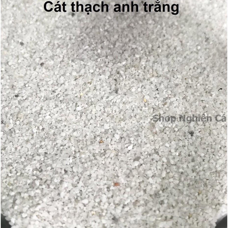 Cát Thạch Anh Trắng  - Trải Nền Trang Trí Bể Cá, Bể Thủy Sinh