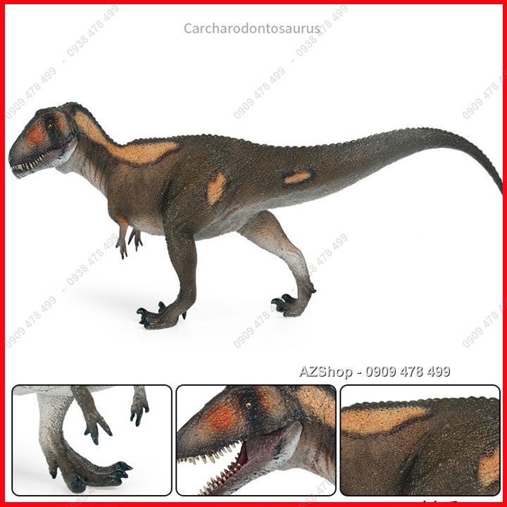 Mô Hình Khủng Long Ăn Thịt Carcharodontosaurus - Mẫu B