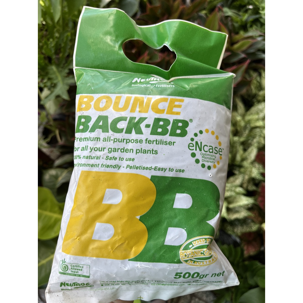 Phân Hữu Cơ Viên Nén Đậm Đặc ÚC DYNAMIC BB xanh