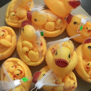 Đàn vịt chíp chíp