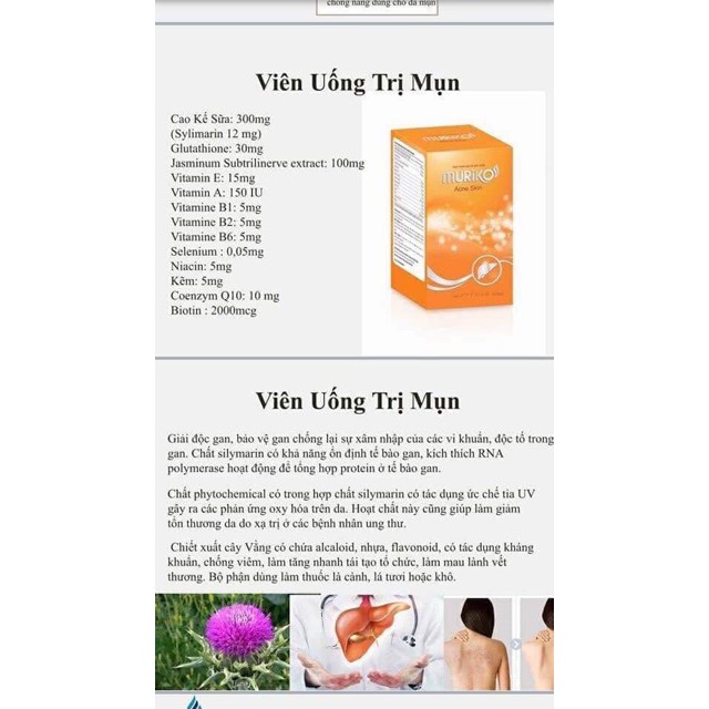 🔰 🔰 VIÊN UỐNG CHO DA MỤN MURIKO - GIẢI PHÁP "TIÊU DIỆT" MỤN TẬN GỐC TỪ BÊN TRONG. | BigBuy360 - bigbuy360.vn