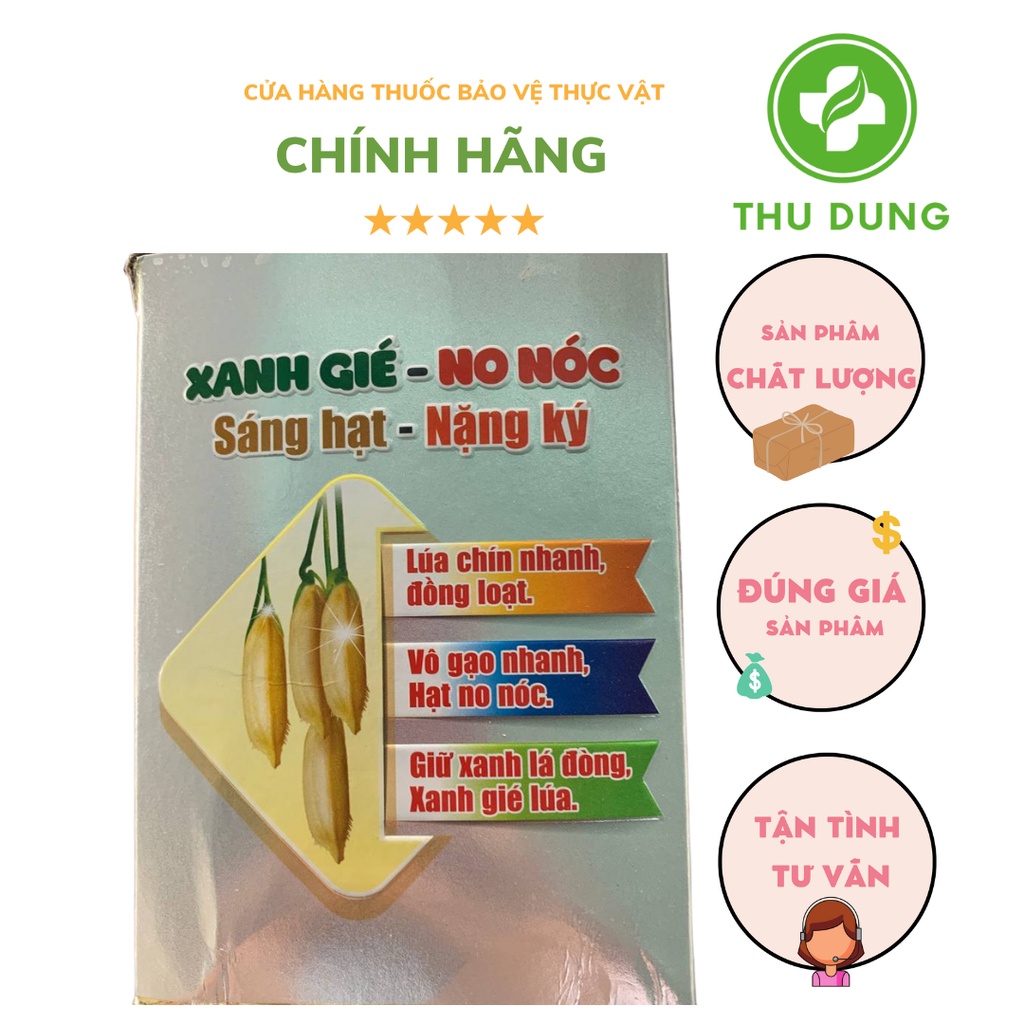 VÔ GẠO LÚA VÀNG
