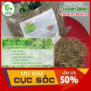 Cây Diệp Hạ Châu Khô 100Gr - Hàng Loại 1