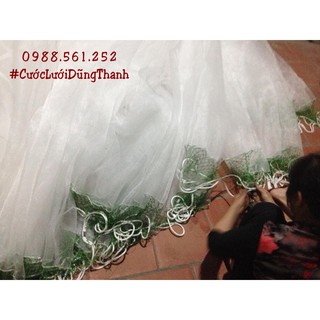Lưới quét kéo cá 30m x 2m (hàng đặc biệt)