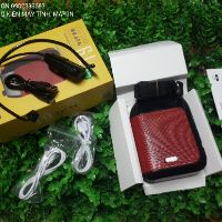 Máy trợ giảng Aporo T9 UHF