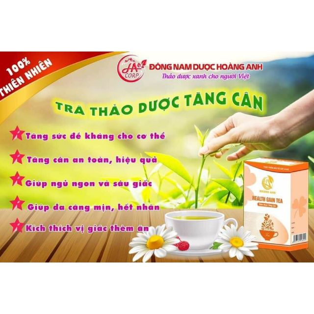 Trà thảo mộc tăng cân hoàng anh