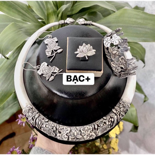 Kiềng cổ cá chép dưới ao hoa sen 990
