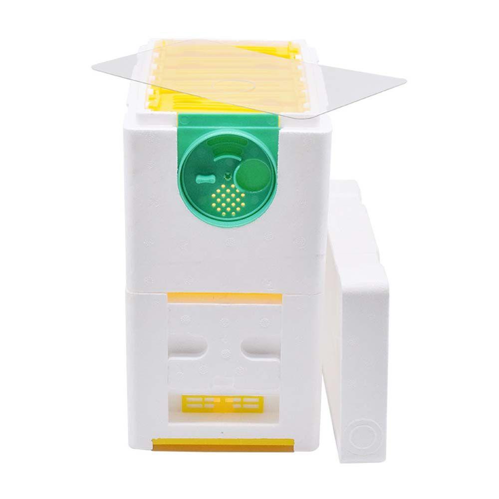 SUENIN Hộp Nuôi Ong Mini Tiện Lợi