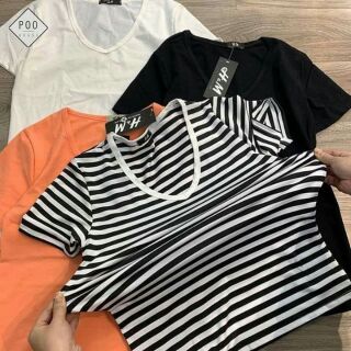 Combo 3 áo phông hm