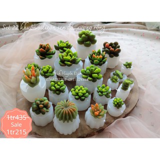 Set 22 khuôn silicon sen đá, xương rồng