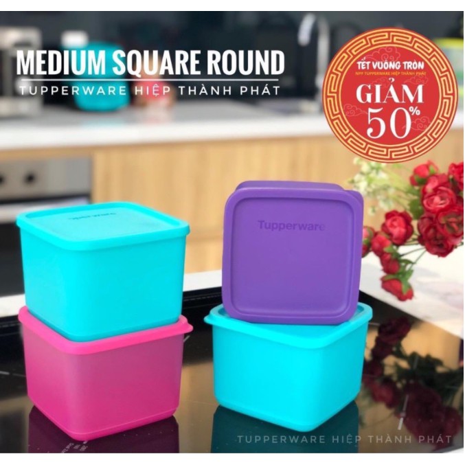 Bộ trữ mát Freshia / Funtastic four 3.1L / Stak n stor / Coolmate / midi deco Tupperware | BigBuy360 - bigbuy360.vn