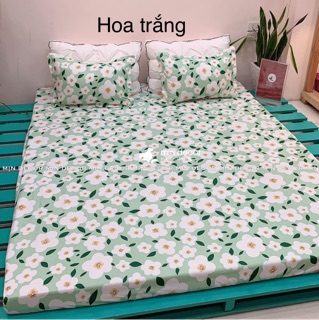 Bộ ga vỏ gối 3 món cotton poly (1 ga giường + 2 vỏ gối nằm)