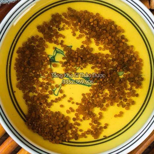 Thỏ Ty Tử 1kg (Vàng, Đẹp)