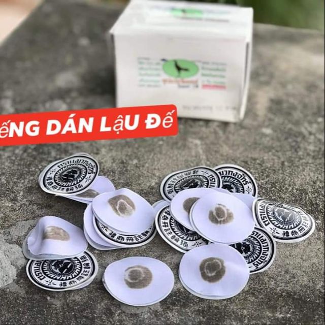 Miếng dán lậu đế cho gà