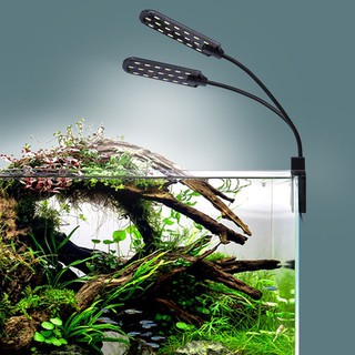 Đèn LED chiếu sáng bể cá 2 đầu với phích cắm EU