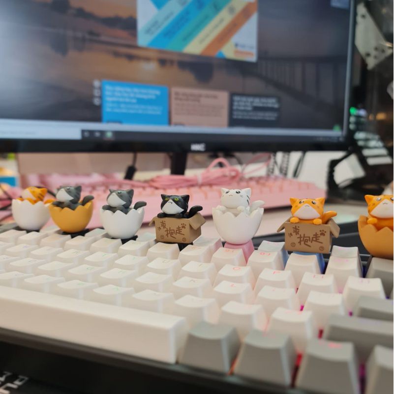 Keycap lẻ hình Mèo Con Trong Trứng siêu dễ thương Keycap Lionvn