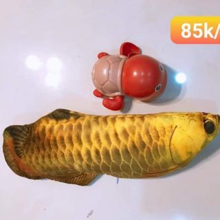 Combo 2 rùa và 1 cá