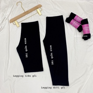 Quần legging đùi ngố qua gối ảnh thật video hichi