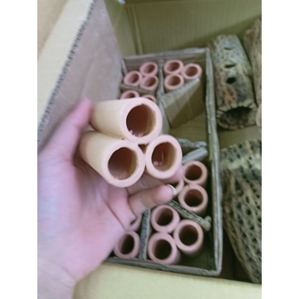 Đồ Chơi Ống Gốm 3-6 Lỗ Cho Cá Tép
