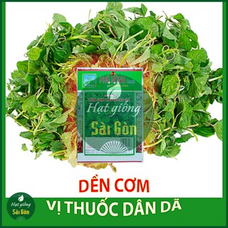 Hạt Giống Rau Dền Cơm 10gr Giàu Dinh Dưỡng
