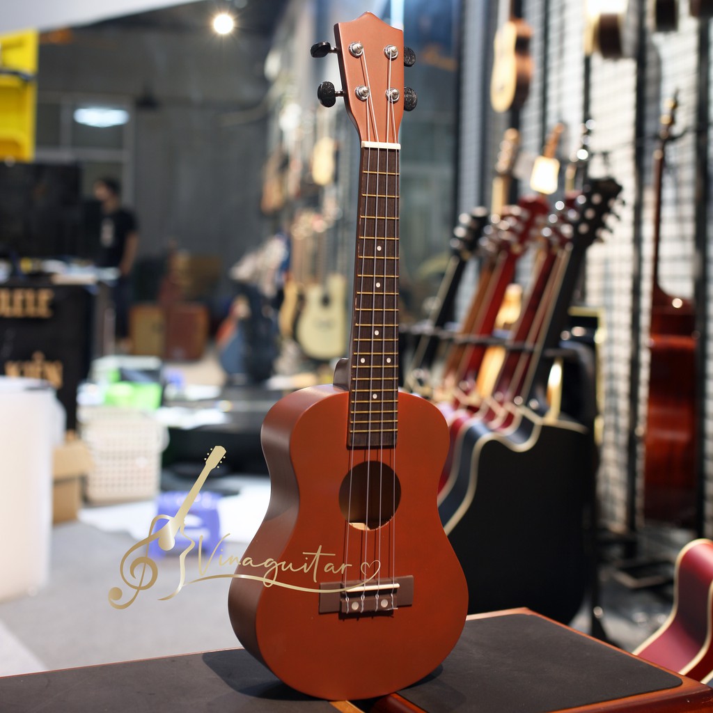 Đàn Ukulele Concert Gỗ Sơn Màu