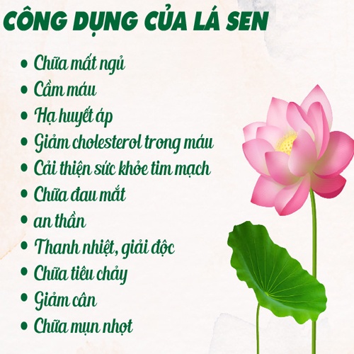 Trà vằng lá sen hỗ cải thiện giấc ngủ tăng cường tiêu hóa giảm mỡ thừa giữ dáng đẹp da lợi sữa cho mẹ bầu sau sinh