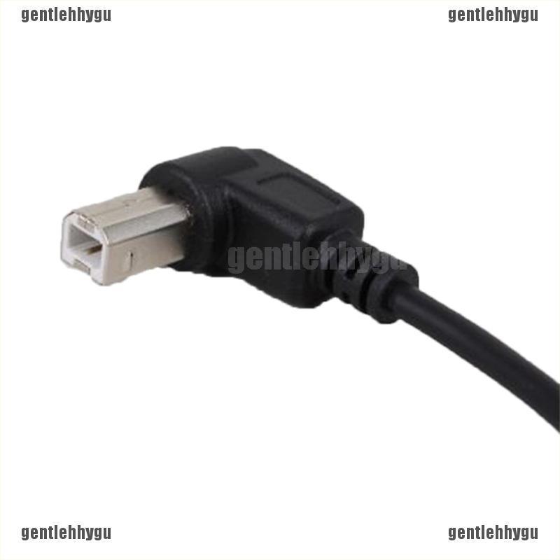 1 Phụ Kiện Chuyển Đổi Usb Type B Male Sang Usb B Female