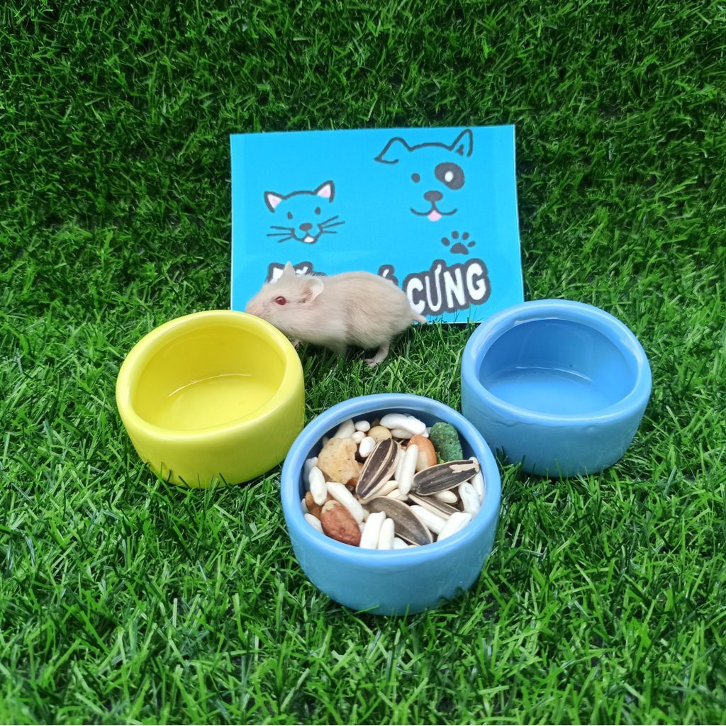 Chén ăn sứ hamster hình mái vòm