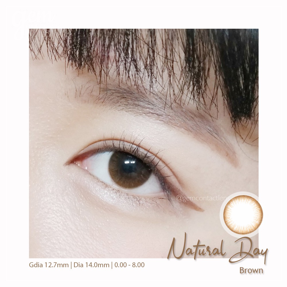 [Lens 1 Ngày] Áp Tròng Không Giãn NATURAL DAY BROWN- OLENS KOREA Lens Nâu Tự Nhiên Đi Học Đi Làm Phù Hợp Mắt Nhạy Cảm