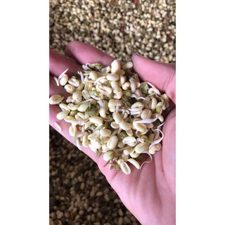 Bột sữa mầm 1kg không đường