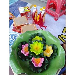 Hoa sen thả bát,hoa xốp