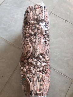 Combo khách đặt
