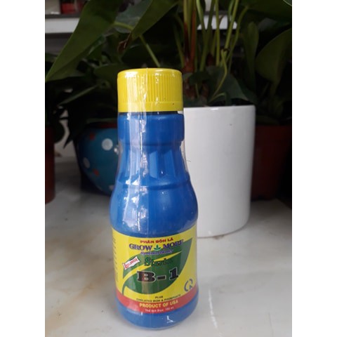 Vitamin B1 Mỹ loại 100ml