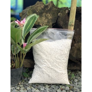 Đá Perlite bao lớn 700gr tiết kiệm - đá trân châu