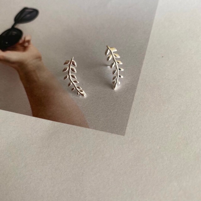 Khuyên tai cành lá oliu ôm vành tai bạc ta