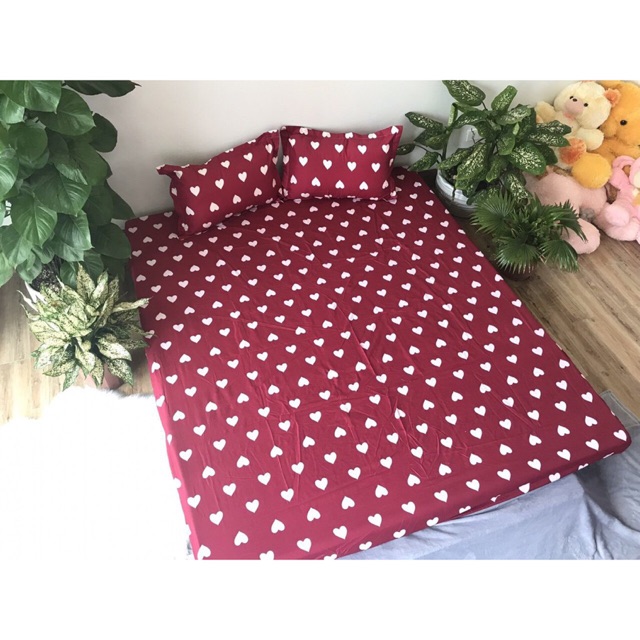 Sét  ga gối và vỏ chăn ()( 1,2m , 1,6m , 1,8m ,2,2m)