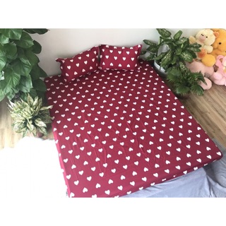 Sét  ga gối và vỏ chăn ()( 1,2m , 1,6m , 1,8m ,2,2m)