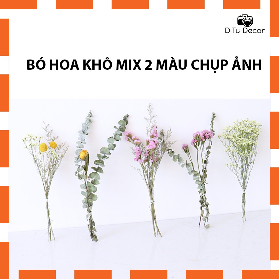 Bó hoa khô mix từ 2 loại hoa, cỏ để chụp ảnh, phụ kiện decor trang trí nhà - Ditu Decor