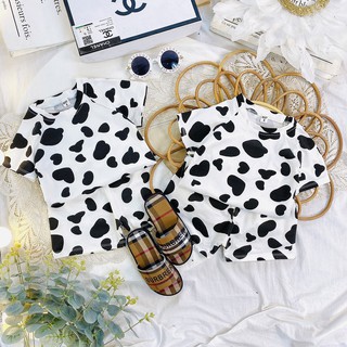 Bộ Bò Sữa Hit Hot chất cotton 2021